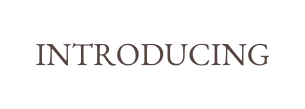 INTRODUCING